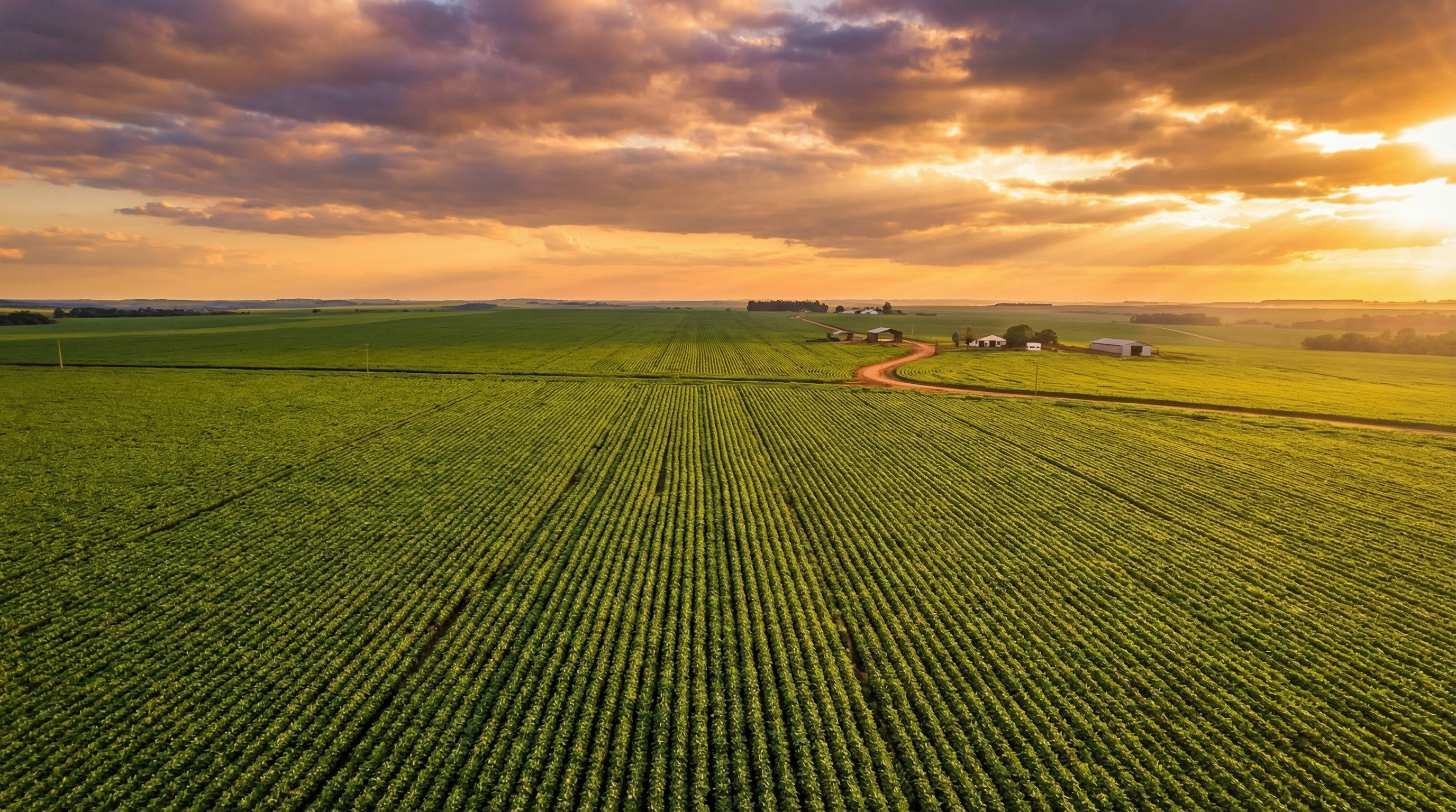Paisagem agrícola brasileira